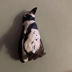 Item thumbnail for item 2c36aa3d-e5c1-49b8-b842-ca4f33d6d805