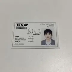 EXO シーグリ 2024 シウミン トレカ IDカード 【200円】