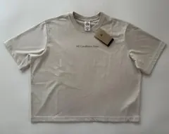 NIKE ACG 半袖ワイドシルエットTシャツ XXL グレージュ 新品タグ付きのサムネイル