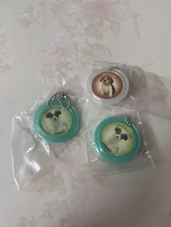 最安値 犬 ミニチャーム 3個セット パピヨン ビーグル
