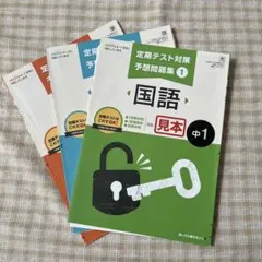 2026年最新】名進研 プレ中学入試の人気アイテム - メルカリ
