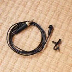 Item thumbnail for item 21bbf627-b529-42d7-a290-59316524dc4c