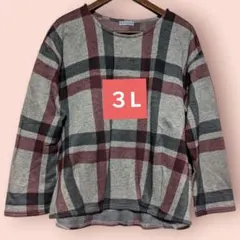 匿名　未使用（３L）薄手フリース　伸縮性　ゆったり大きめレディース長袖カットソー