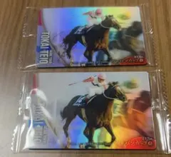 【最安値】トウカイテイオー 箔押し ノーマル サラブレッドホース 岡部 サイン 最安値】トウカイテイオー 箔押し ノーマル サラブレッドホース