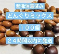 どんぐりミックス　100個
