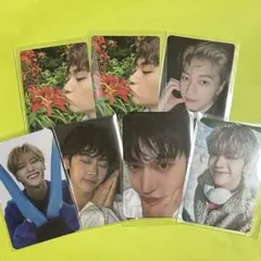 ZEROBASEONE マシュー メテュ トレカセット