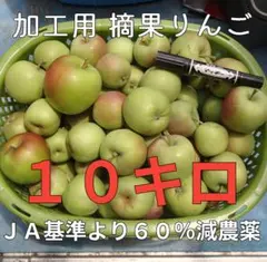 【特価】加工用　摘果りんご　約10キロ　長野県産　送料無料地域限定　54のサムネイル