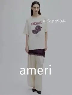 AMERI MEDI NUTRIENT AT FRUIT LAYERED TOP - メルカリ