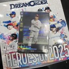 ドリームオーダー　宗山SR