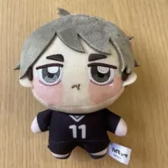 ハイキュー!! ちょぴぬいぷち 宮治