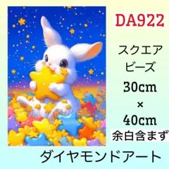 DA922☆ダイヤモンドアートキット☆スターダストラビット