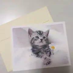 子猫のメッセージカード 封筒付き　1997年　1枚