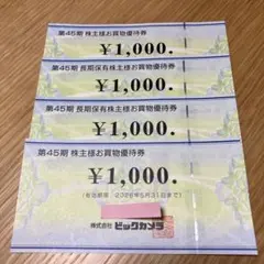 ビックカメラ　コジマ電気　ソフマップ　株主優待