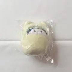 山田 くるみたぴぬい