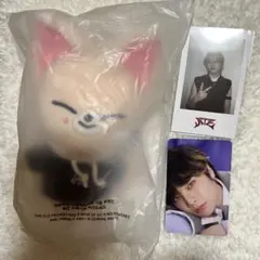 Stray Kids アイエン スキズ マスター ぬいぐるみ - メルカリ