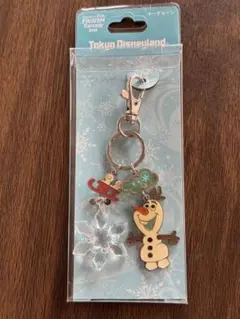 東京ディズニーランド アナと雪の女王　キーチェーン