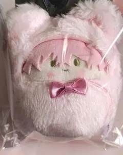 匿名配送　【新品】　ブレイクマイケース　くるみたぴぬい　綾戸恋