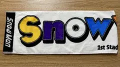 【美品】SnowMan スノーワールド スタジアムライブ　マフラータオル