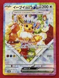 2025年最新】イーブイ sarの人気アイテム - メルカリ