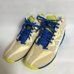 【23.5cm】MIZUNO WAVE DIVERSE LG3ウェーブダイバースのサムネイル