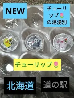 北海道道の駅かみゆうべつ温泉チューリップの湯　カミゴン　3種類のサムネイル