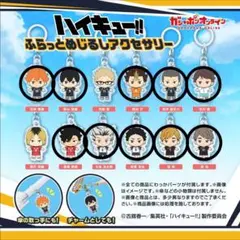 ハイキュー!! ふらっとめじるしアクセサリー 10点セット