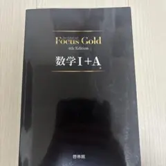 Focus Gold 数学 I + A 4th Edition