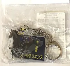 アイドルホース ブローザホーン アクリルキーホルダー JRA 競馬 ウマ娘 アイドルホース ブローザホーン アクリルキーホルダー JRA 競馬 ウマ娘