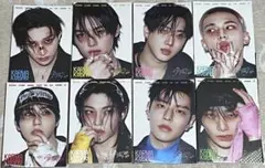 StrayKids KARMA CD 8枚 accordion