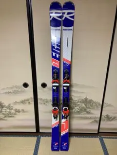 2026年最新】ROSSIGNOL ロシニョール DEMOの人気アイテム - メルカリ