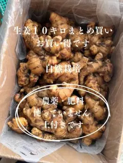 2026年最新】土付き 生姜 約10kgの人気アイテム - メルカリ