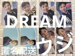 seventeen dream ウジ ドリーム 特典 うーたん　トレカ
