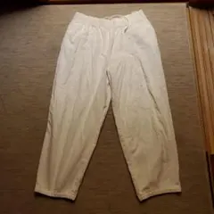 Item thumbnail for item 7f0a1231-f525-4f31-839a-a63e4967b1d3