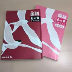 2026年最新】四谷大塚 予習シリーズ 5年下の人気アイテム - メルカリ