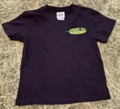 HABU BOX 沖縄 Tシャツ 110cm ゴーヤのサムネイル