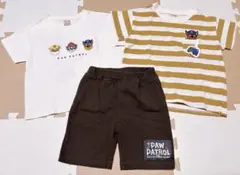 petit main パウパト　Tシャツ　ズボン　セット 100