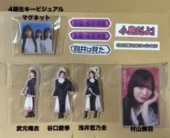 櫻坂46 オンラインくじ まとめ売り - メルカリ