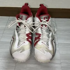 ジョーダンワンテイク　ホワイト／レッド　26cm