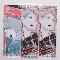 ハイキュー オリジナルステッカーコレクション 菅原 3枚セット