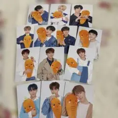 SEVENTEEN トレカ 人参 12枚セット
