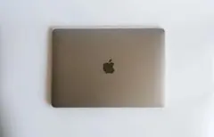 상태좋음 Apple MacBook Air M1 256GB 13인치