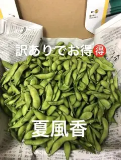 本日収穫！発送！茶豆風味の枝豆のサムネイル