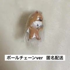 スキズSKZOO つまんでつなげてますこっと vol.2 リービット