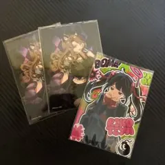 私立パラの丸高校　ローソンブロマイドL版