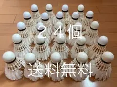 2026年最新】バドミントンシャトルの人気アイテム - メルカリ