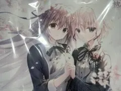 プロフ必読 栞様 リクエスト 2点 まとめ商品