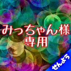 みっちゃん様専用商品