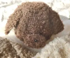 Item thumbnail for item 0f85050c-4ed0-4e71-be50-7a1a37be1115