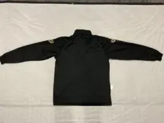 Item thumbnail for item aa6349e9-2015-49f8-bd2f-38bf224c85d6