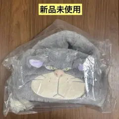 Item thumbnail for item 5edbecb8-4220-43f7-8edc-3c7a01faa4e2